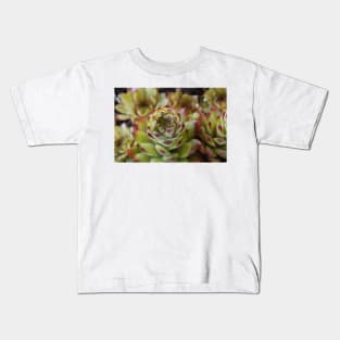 Sempervivum  'Bernstein'  Houseleek Kids T-Shirt